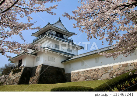 悠久山公園の桜とお城(長野県・長岡市) 悠久山公園の桜とお城(長野県・長岡市) 135465241