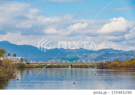 冬の桂川風景　京都市 135465290