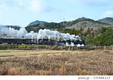 SLやまぐち号　JR山口線　秋景色 135466123