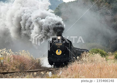 SLやまぐち号　名所　大山路踏切を驀進 135466148