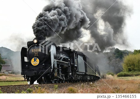 SLやまぐち号　名所　大山路踏切を驀進 135466155