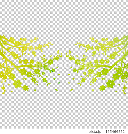 綺麗な水彩模様の桜の木のアイコンのイメージのイラスト 綺麗な水彩模様の桜の木のアイコンのイメージのイラスト 135466252