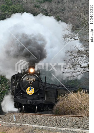 SLやまぐち号　JR山口線　撮影名所　津和野　白井の里を驀進 135466319