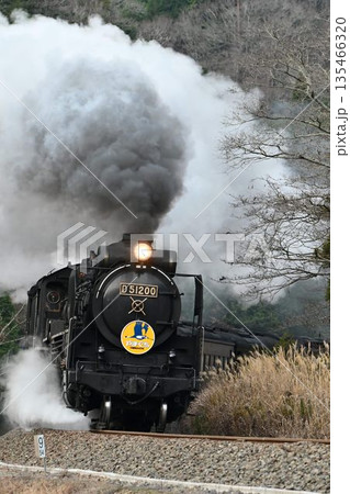 SLやまぐち号　JR山口線　撮影名所　津和野　白井の里を驀進 135466320