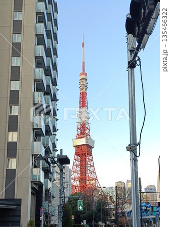 東京タワーへ向かう道 135466322