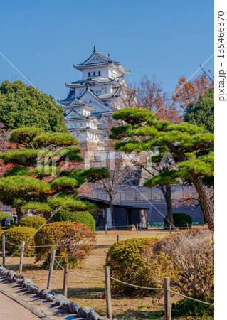 紅葉に彩られた姫路城の秋景色 135466370