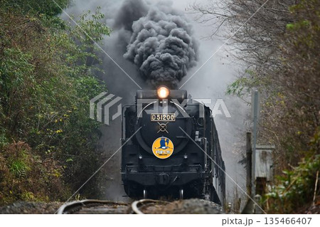 SLやまぐち号　逆篠目サミットを驀進 135466407