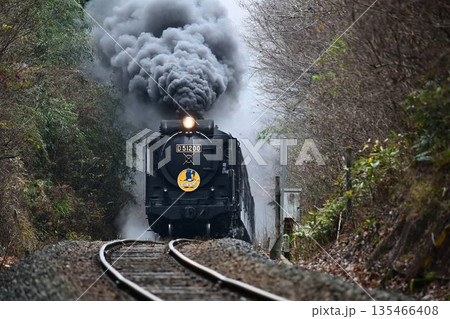 SLやまぐち号　逆篠目サミットを驀進 135466408