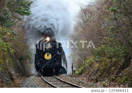 SLやまぐち号　逆篠目サミットを驀進 135466411