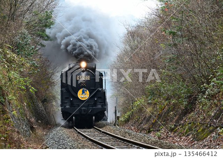 SLやまぐち号　逆篠目サミットを驀進 135466412