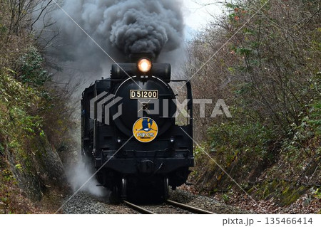 SLやまぐち号　逆篠目サミットを驀進 135466414