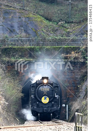 SLやまぐち号　JR山口線　津和野を目指し　白井トンネル通過 135466415