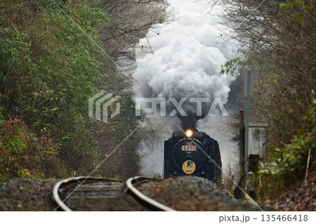 SLやまぐち号 逆篠目サミットを驀進 SLやまぐち号 逆篠目サミットを驀進 135466418