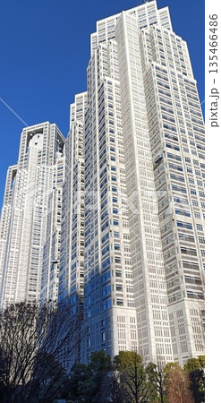 中央公園から見る都庁 135466486