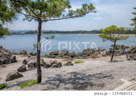 海の公園 神奈川県横浜市金沢区 海の公園 神奈川県横浜市金沢区 135466551