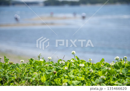 海の公園　神奈川県横浜市金沢区 135466620