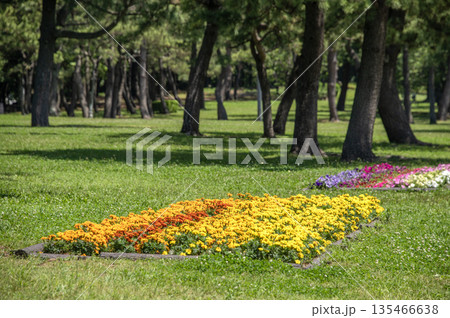 海の公園　神奈川県横浜市金沢区 135466638