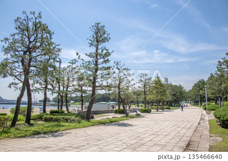 海の公園 神奈川県横浜市金沢区 海の公園 神奈川県横浜市金沢区 135466640