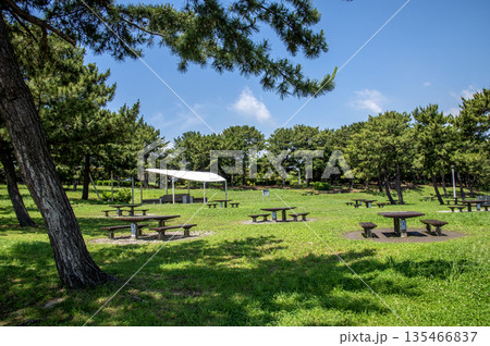 海の公園 神奈川県横浜市金沢区 海の公園 神奈川県横浜市金沢区 135466837