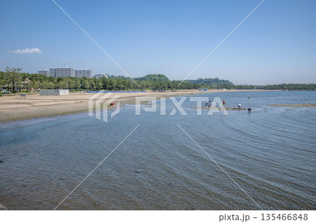 海の公園 神奈川県横浜市金沢区 海の公園 神奈川県横浜市金沢区 135466848