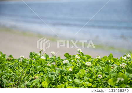 海の公園　神奈川県横浜市金沢区 135466870