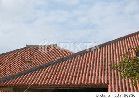 石垣島の琉球赤瓦屋根とシーサー 石垣島の琉球赤瓦屋根とシーサー 135466886