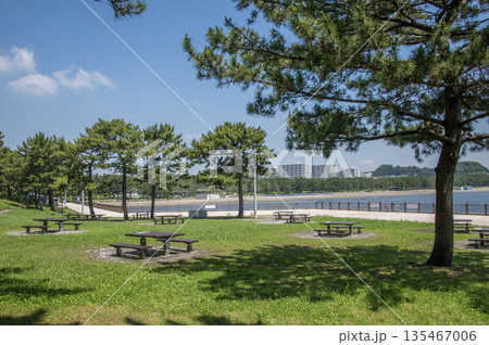 海の公園 神奈川県横浜市金沢区 海の公園 神奈川県横浜市金沢区 135467006