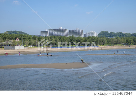 海の公園　神奈川県横浜市金沢区 135467044