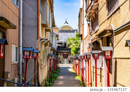【重要伝統的建造物群保存地区】打吹玉川 初夏の大蓮寺小路3 鳥取県倉吉市 【重要伝統的建造物群保存地区】打吹玉川 初夏の大蓮寺小路3 鳥取県倉吉市 135467137