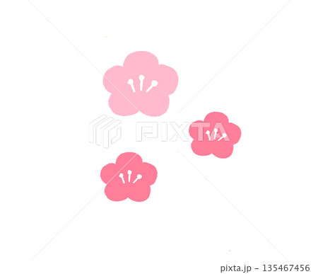 梅の花の手描きのイラスト 梅の花の手描きのイラスト 135467456
