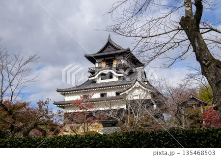 国宝【犬山城】の天守閣　（愛知県犬山市）Inuyama castle 135468503