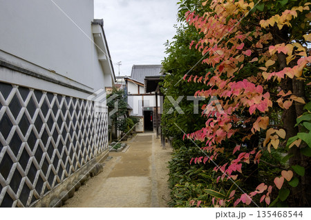 犬山城下町【旧磯部家住宅】の土蔵と中庭(愛知県犬山市大字犬山字南古券) 犬山城下町【旧磯部家住宅】の土蔵と中庭(愛知県犬山市大字犬山字南古券) 135468544