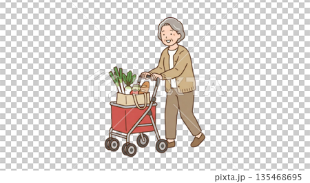 推著銀色購物車購物 推著銀色購物車購物 135468695