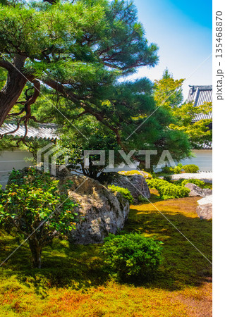 【京都風景】南禅寺(1)　方丈庭園「虎の子渡しの庭」 135468870