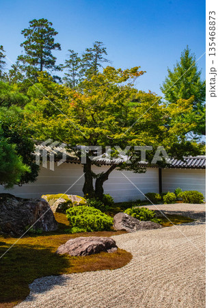 【京都風景】南禅寺(1)　方丈庭園「虎の子渡しの庭」 135468873