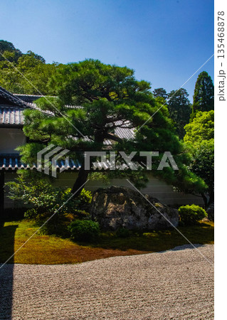 【京都風景】南禅寺(1)　方丈庭園「虎の子渡しの庭」 135468878