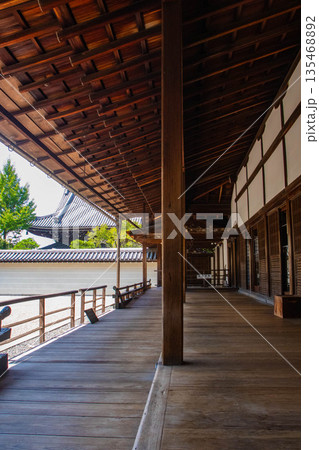 【京都風景】南禅寺(1)　方丈庭園「虎の子渡しの庭」 135468892