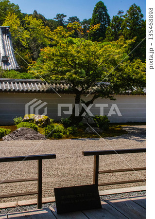 【京都風景】南禅寺(1)　方丈庭園「虎の子渡しの庭」 135468898