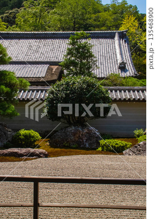 【京都風景】南禅寺(1)　方丈庭園「虎の子渡しの庭」 135468900