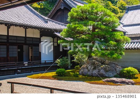 【京都風景】南禅寺(1)　方丈庭園「虎の子渡しの庭」 135468901