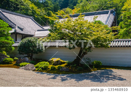 【京都風景】南禅寺(1)　方丈庭園「虎の子渡しの庭」 135468910