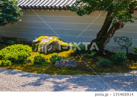 【京都風景】南禅寺(1)　方丈庭園「虎の子渡しの庭」 135468914