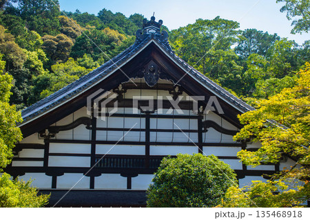 【京都風景】南禅寺(1)　方丈庭園「虎の子渡しの庭」 135468918