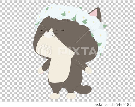 A calico cat wearing a flower crown A calico cat wearing a flower crown 135469189