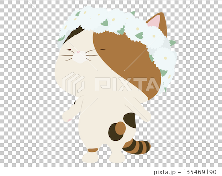 花冠をかぶる三毛猫 135469190