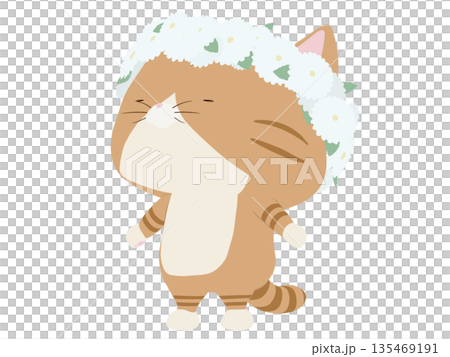 Brown tabby cat wearing a flower crown Brown tabby cat wearing a flower crown 135469191