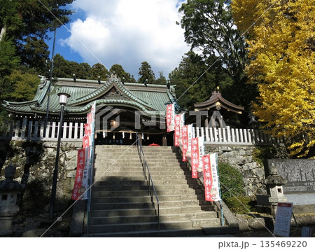 イチョウの黄葉が美しいつくば市の筑波山神社 イチョウの黄葉が美しいつくば市の筑波山神社 135469220