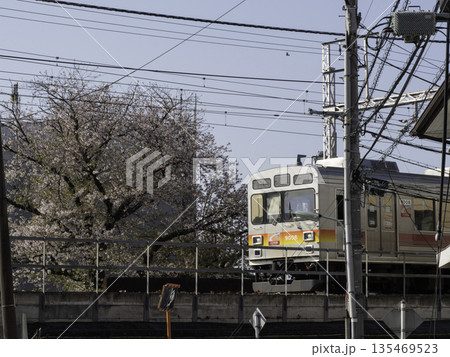 大井町線と桜 大井町線と桜 135469523