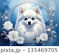 雪の花輪に包まれた白いポメラニアン 135469705