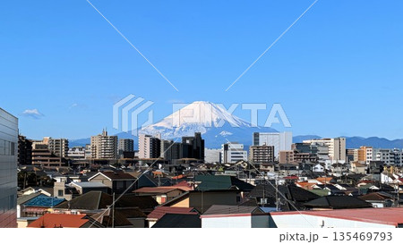 湘南から見た富士山 135469793